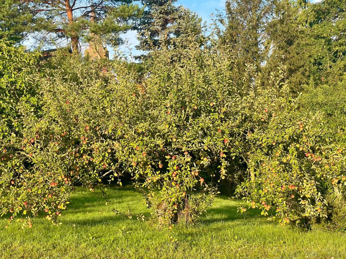 Holiday home Apple Tree House *